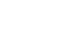 Home Nielsen Logo B