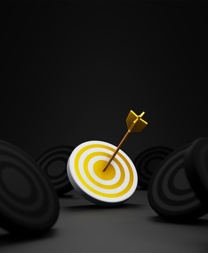 Img Srv Consultoria In